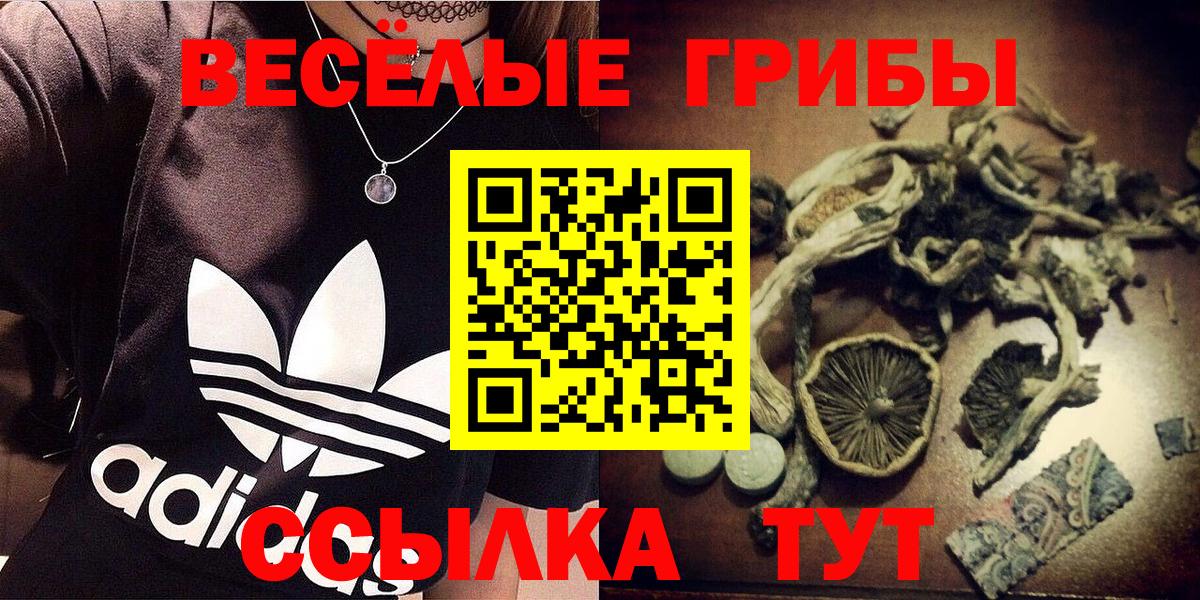 Галлюциногенные грибы Cubensis  Вход с VPN  где можно купить   Кингисепп 