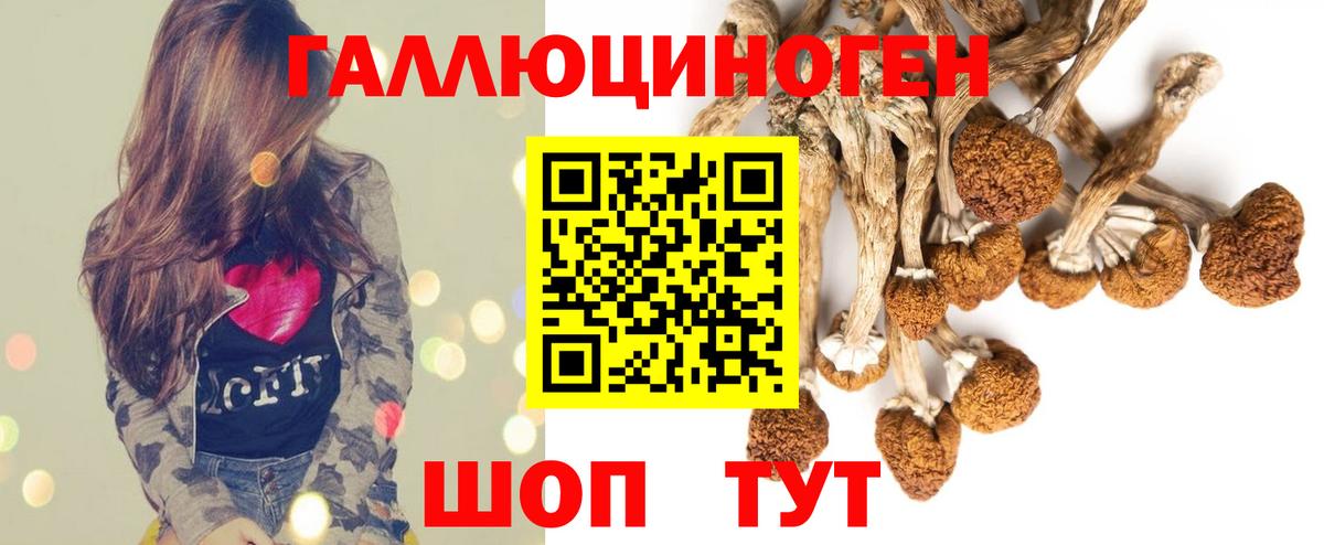Каннабис  А ПВП СОЛЬ кристаллы  Вход с VPN  ГЕРОИН  ГАШ  Кингисепп  МЕФ  