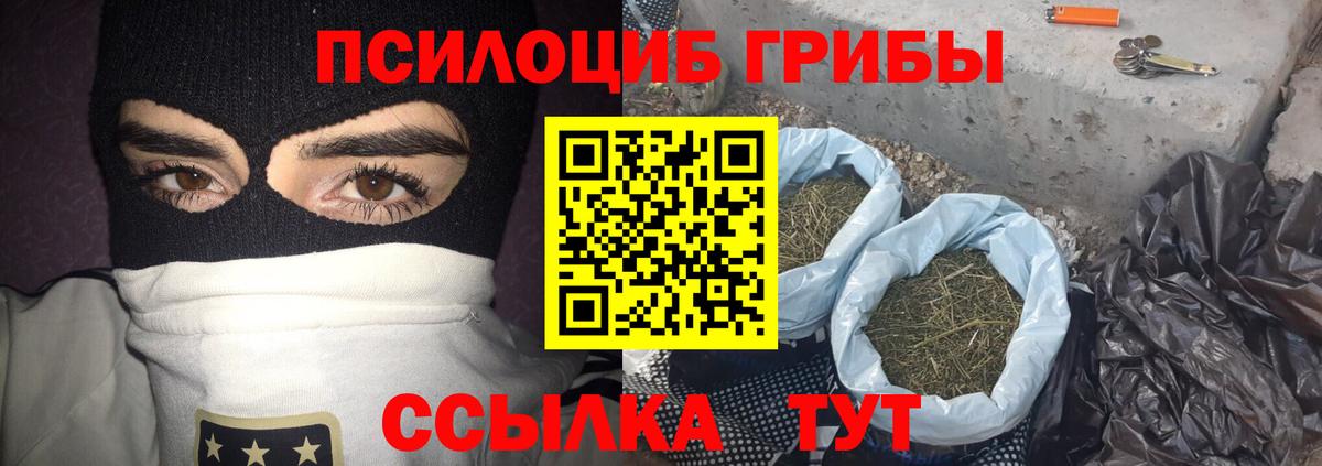 Галлюциногенные грибы прущие грибы Кингисепп