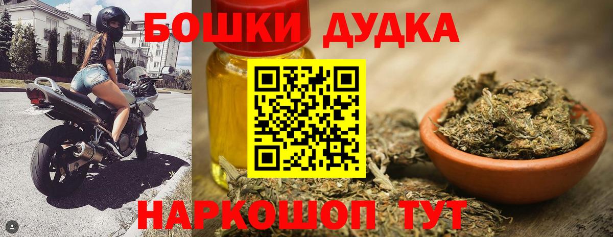 Шишки марихуана Amnesia Кингисепп